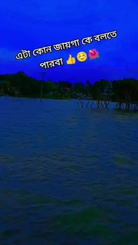 এটা কোন জায়গা কে বলতে পারবা ☺️👍🌺