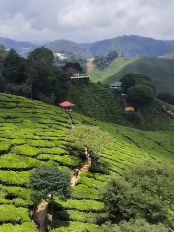 Berkali2 menjejakkan kaki di sini, namun rasa yang hadir tidak pernah pudar ❤️ #fyp