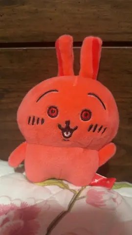 Red 40 usagi is here #chiikawa #usagi #fyp 