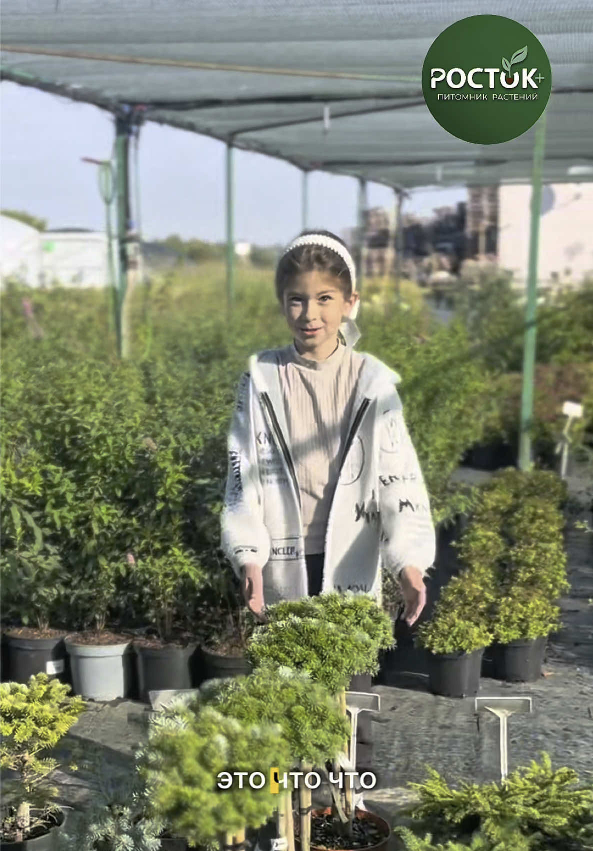 Как важно уметь замечать красоту там, где она живёт😍 В листьях, в свете, в том, как падает тень от горшка✨ В улыбке, когда растение оказывается именно тем, о котором мечтала🙌🏽 Маленькая гостья нашего питомника не искала повод для восхищения — оно просто случилось🤗 И это, пожалуй, главное, чему сад учит каждый день☺️ Приезжайте за вдохновлением и красотой!  📍Мы находимся по адресу: р-н, аг. Озеро, Узденский р-н , ул. Дзержинская, 1Б. Доступен самовывоз и доставка🚘 #декоративныерастения #растенияминск #питомниксаженцев #растениясдоставкой #питомникростокплюс 
