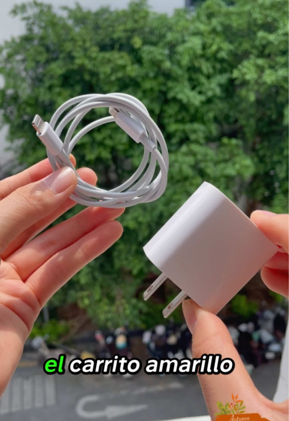 Cuando llegan las vacaciones, mis hijos se pelean por el celular y el cable de carga, así que los cables siempre se rompen. Hasta que encontré este.#diademuertoscontiktokshop #seasonaltrend #vivalaquincena #cabledecarga #cableusb 