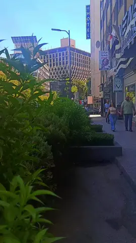 تره اللجمات يبقن هنه هنه