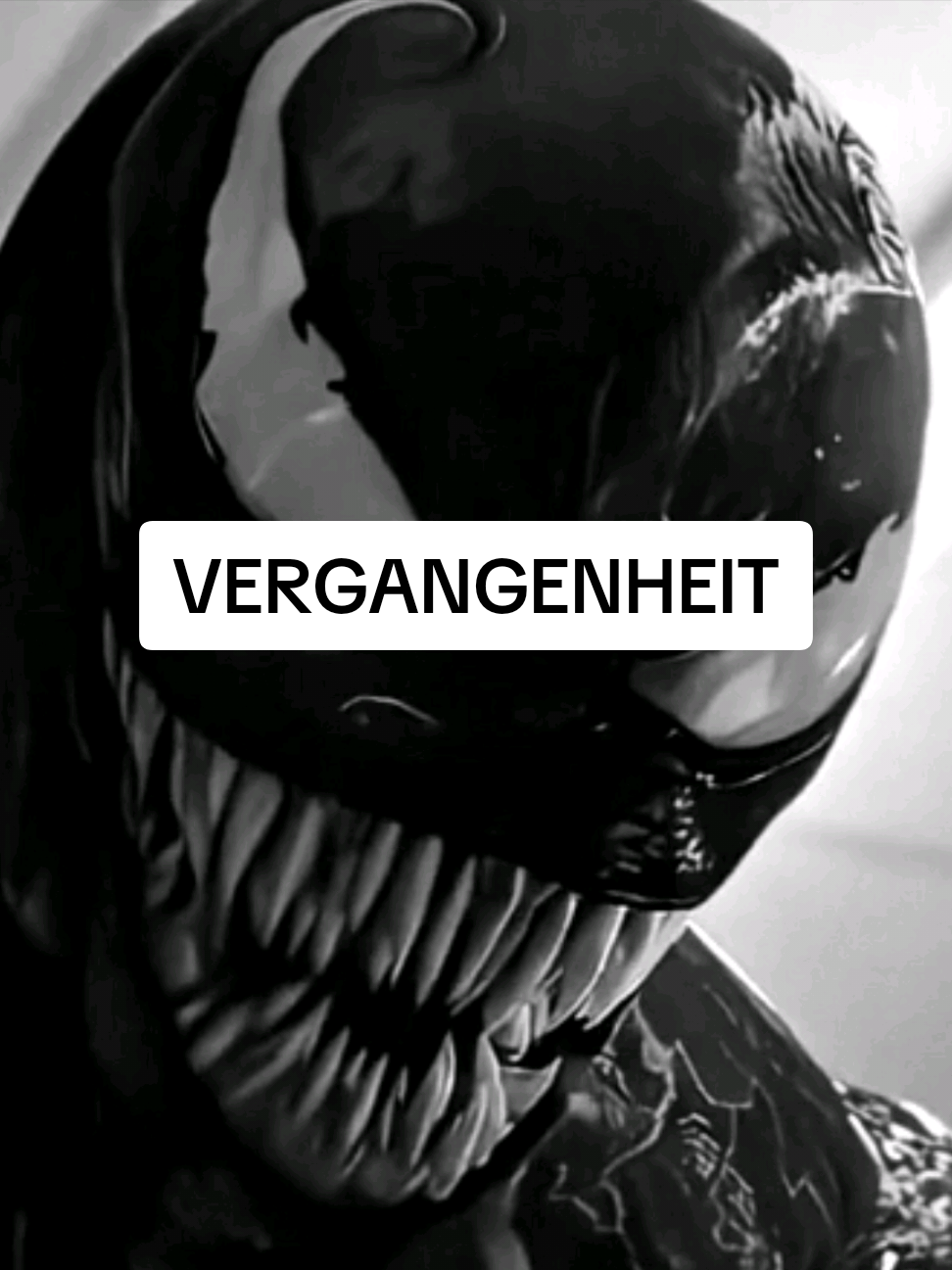 Beitrag 6 #venom 