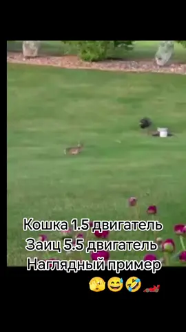 Коян жок боп кеты гой 😳😳 