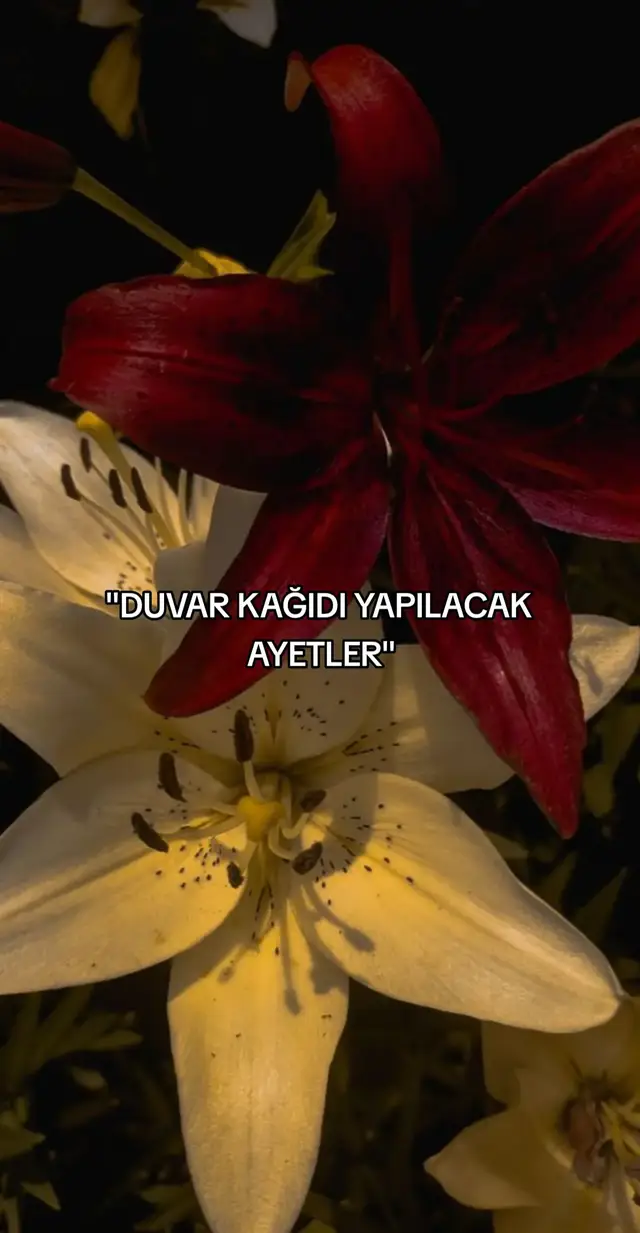 🌸 #duvarkagidi #ayetler #dinisayfa 