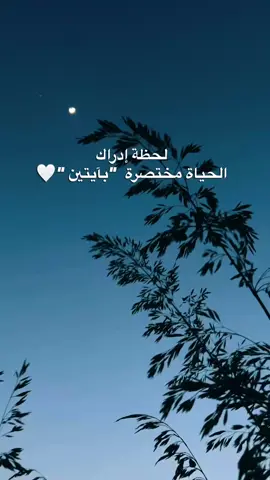 لحظة إدراك 👌  #لحظة_ادراك #قران_كريم #الله #live #حياة 