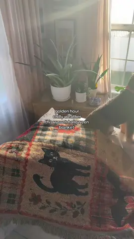it’s giving my grandmas house but in the best way #creatorsearchinsights #halloweentime #halloweentiktok #halloweenblanket #blankets 