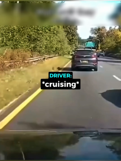 These Idiots Realize They Messed Up...