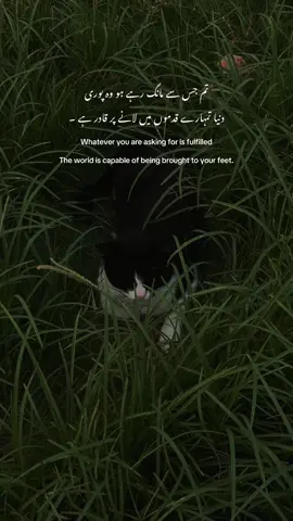 Beshak ❤️🤌🏻 #repost #fypシ゚viral #foryoupage #creatorssightinsight @TikTok Pakistan 
