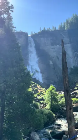 Average view in Yosemite #nevadafallsyosemite #waterfall #yosemite #fypシ゚viral #nationalpark 