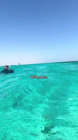 no come job #fyp #egypt #hurghadaegypt🇪🇬 #hurgarda #redsea 