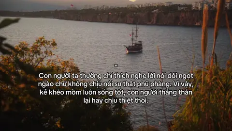 #fyp #viral #xuhuong 