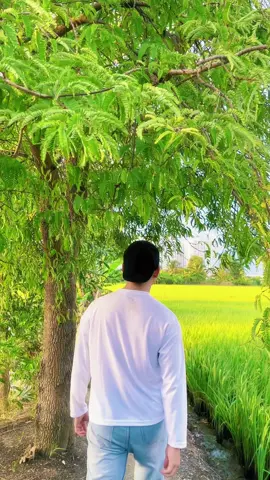 Nhớ nhé#ilovetiktok #binhan #Vlog #vietnam 