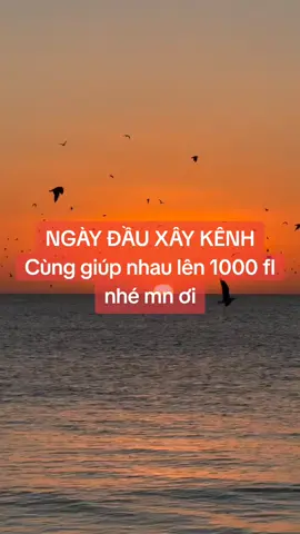 Người mới xây kênh hãy áp dụng bộ lọc 24h để chéo fl và tương tác với nhau nha #nguoimoixaykenh #boloc24h #cheofl #tapxaykenh #xaykenhtiktok