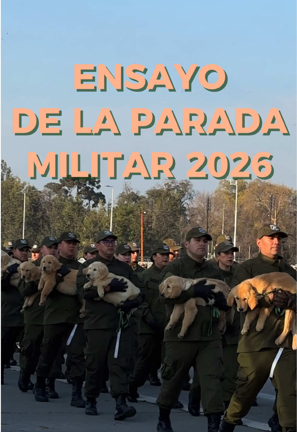 🇨🇱 ¡Ya comenzaron los preparativos para la Gran Parada Militar 2026! 🐾 Fuimos a conocer parte del trabajo que realizan los ejemplares caninos de Carabineros de Chile junto a sus guías para prepararse para este gran desfile. 🐶 Durante los ensayos, los perritos se acostumbran a los distintos estímulos que encontrarán ese día: personas, ruido, movimiento y un entorno completamente diferente al habitual. 🇨🇱 Los invitamos a ser parte de la Gran Parada Militar 2026 y a acompañar a estos perritos en este importante día para ellos. 🐶💙 #chile #perritos #paradamilitar #fiestaspatrias #cuecachilena 