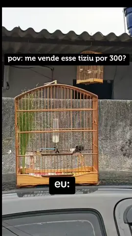 #meme #rels #tiziu #tiziudepulo 