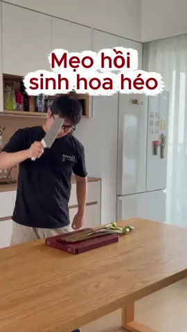 Mẹo hồi sinh hoa héo #meovat 