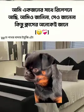 🥲❤️‍🩹🙏 #memdoge  #fanivideo#foryoupage #