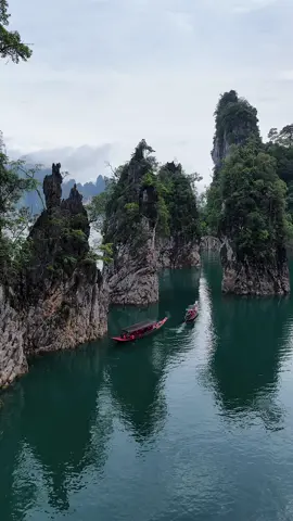 The most unreal place in Thailand 🌿 📍Khao Sok - Surat Thani , Thailand 🇹🇭  . . #thailand #wildlife #junglevibes #boatlife #thailandtravel 