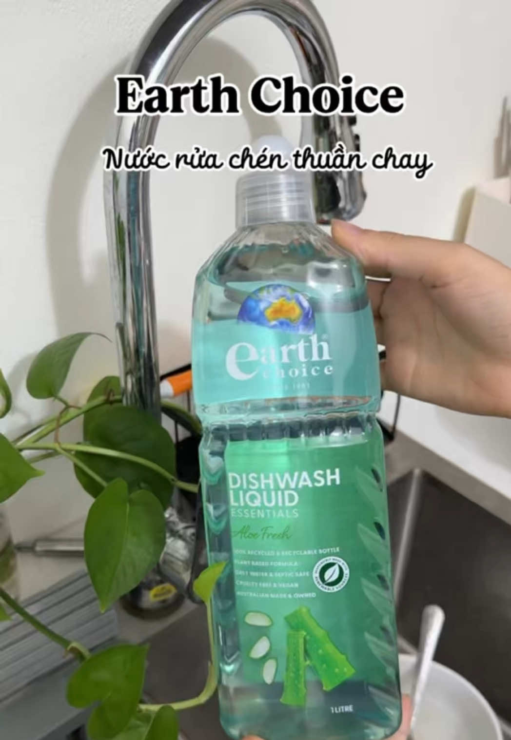 #greenbox #earthchoice #nuocruachen #thuanchay Quà tặng từ brand