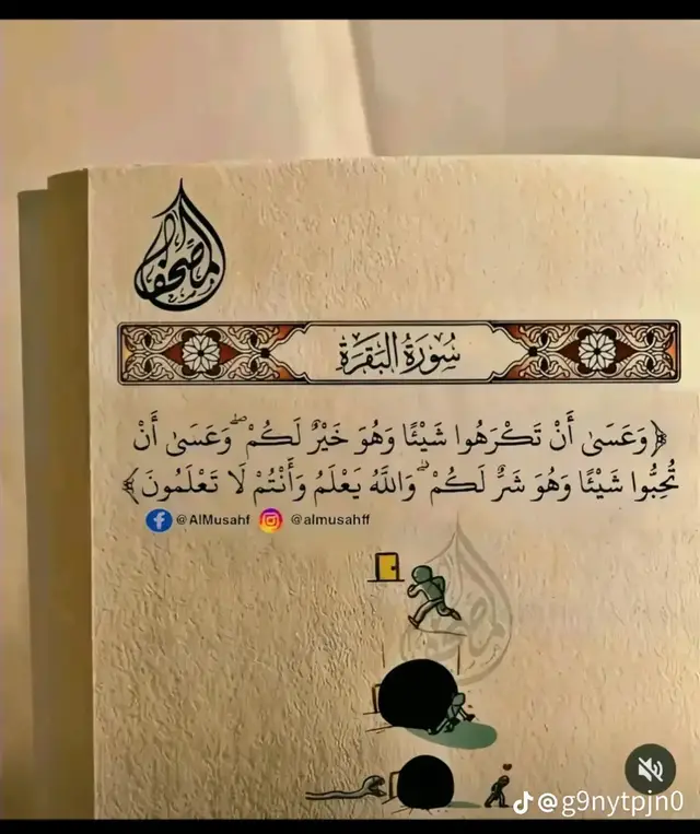 الداخل. بدلاً من التركيز على ما ينقصك، ابدأ بتقدير ما تملكه الآن. • تمرين بسيط: دوّن كل يوم ثلاثة أشياء بسيطة جعلتك تبتسم (كوب قهوة، رسالة من صديق، أو حتى لحظة هدوء). هذا يدرب عقلك على رصد الإيجابيات وسط الضجيج. • توقف عن المقارنة: تذكر أن وسائل التواصل الاجتماعي تعرض 
