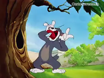 Tom and Jerry#tomjerry #tom-vs-jerry#tom #tomandjerry #funnyvideo
