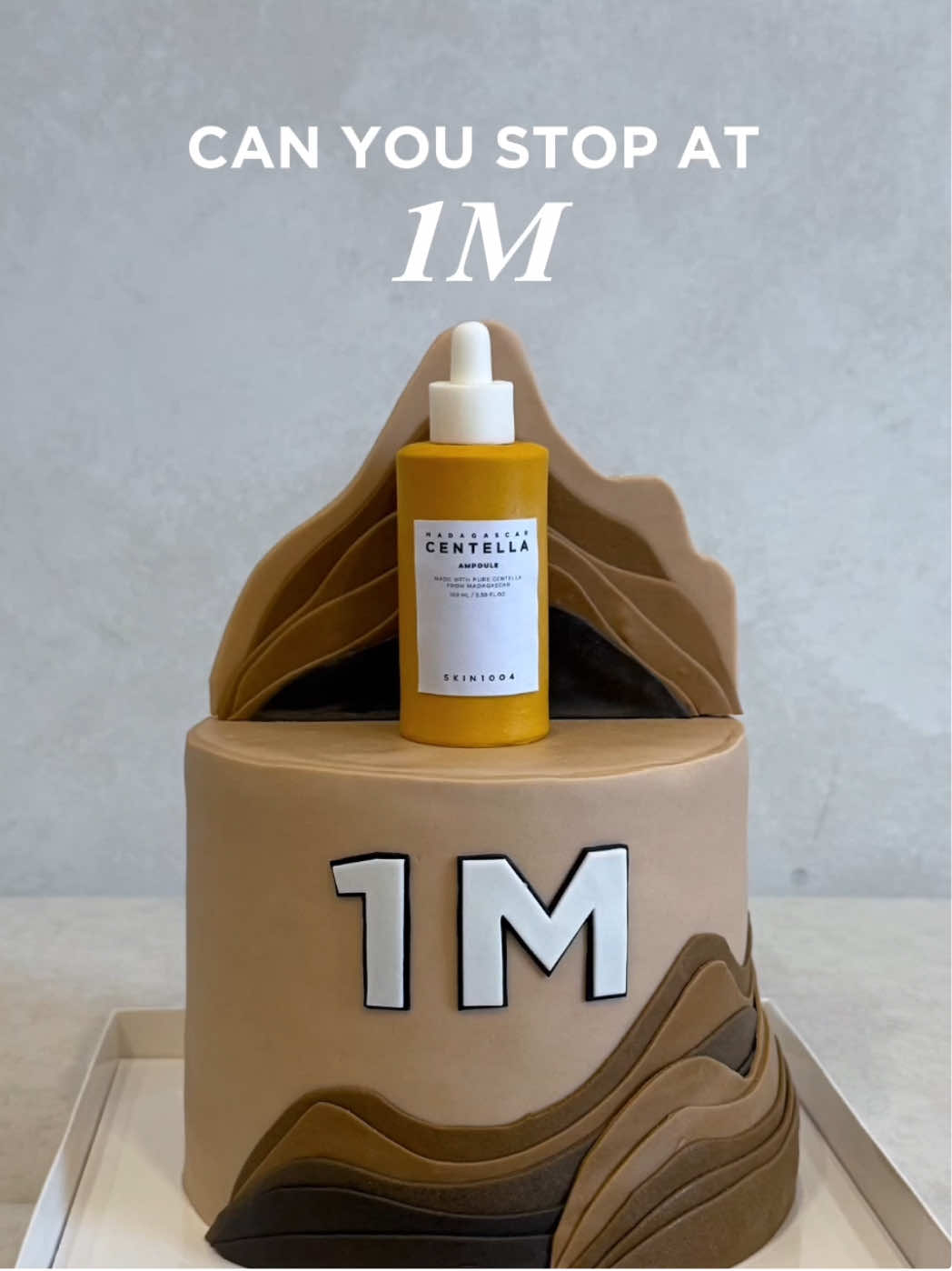 Can you stop at our 1M cake? 😉 We recentely hit 1M followers and we cannot be more grateful to you for all your support. We are currently giving out special coupons, so check out our recent post for more!  #SKIN1004 #1Mfollowers #KBeauty 