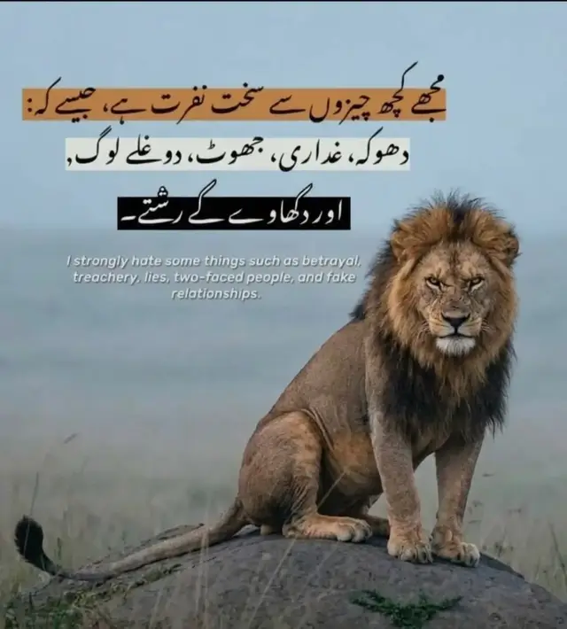 مجھے کچھ چیزوں سے سخت نفرت ہے، جیسے کہ دھوکہ، غداری، جھوٹ، دوغلے لوگ اور دکھاوے کے رشتے۔ زندگی میں ہمیشہ مخلص اور سچے لوگوں کا ساتھ پسند کریں، کیونکہ منافقت صرف دلوں کو دھیمک کی طرح چاٹ جاتی ہے۔ اپنی عزتِ نفس کو کبھی داؤ پر نہ لگائیں اور ایسے لوگوں سے ہمیشہ فاصلہ رکھیں جو منہ پر کچھ اور پیٹھ پیچھے کچھ اور ہوتے ہیں۔ 🦁💯 #LoyaltyIsEverything#UrduQuotes#FakePeople#SelfRespect#LifeLessons