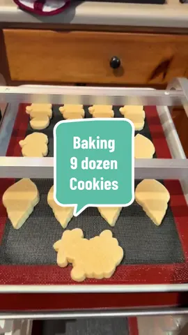 Bake Day! 🥵 #sugarcookies #decoratedsugarcookies #cookieartist #sahm #baking 