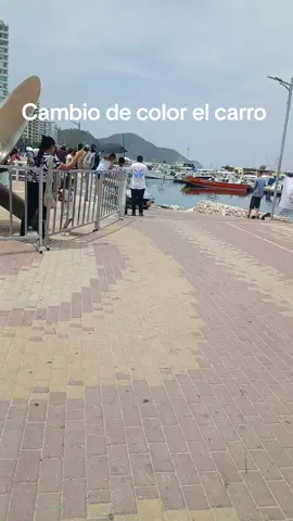 #cambiodecolor#carroviral 