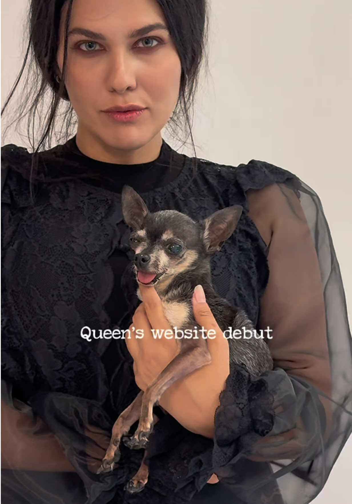 Nepo baby content under new arrivals!! Everyone loves bb Queen 🐶🖤 #gothtok #nepobaby #tinydog #duster #nightgown 