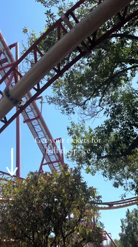 Don’t pay full price to go to Knott’s - - - - #tiktokgocreator #knottsscaryfarm #knottsberryfarm #thrill #rollercoastertiktok 