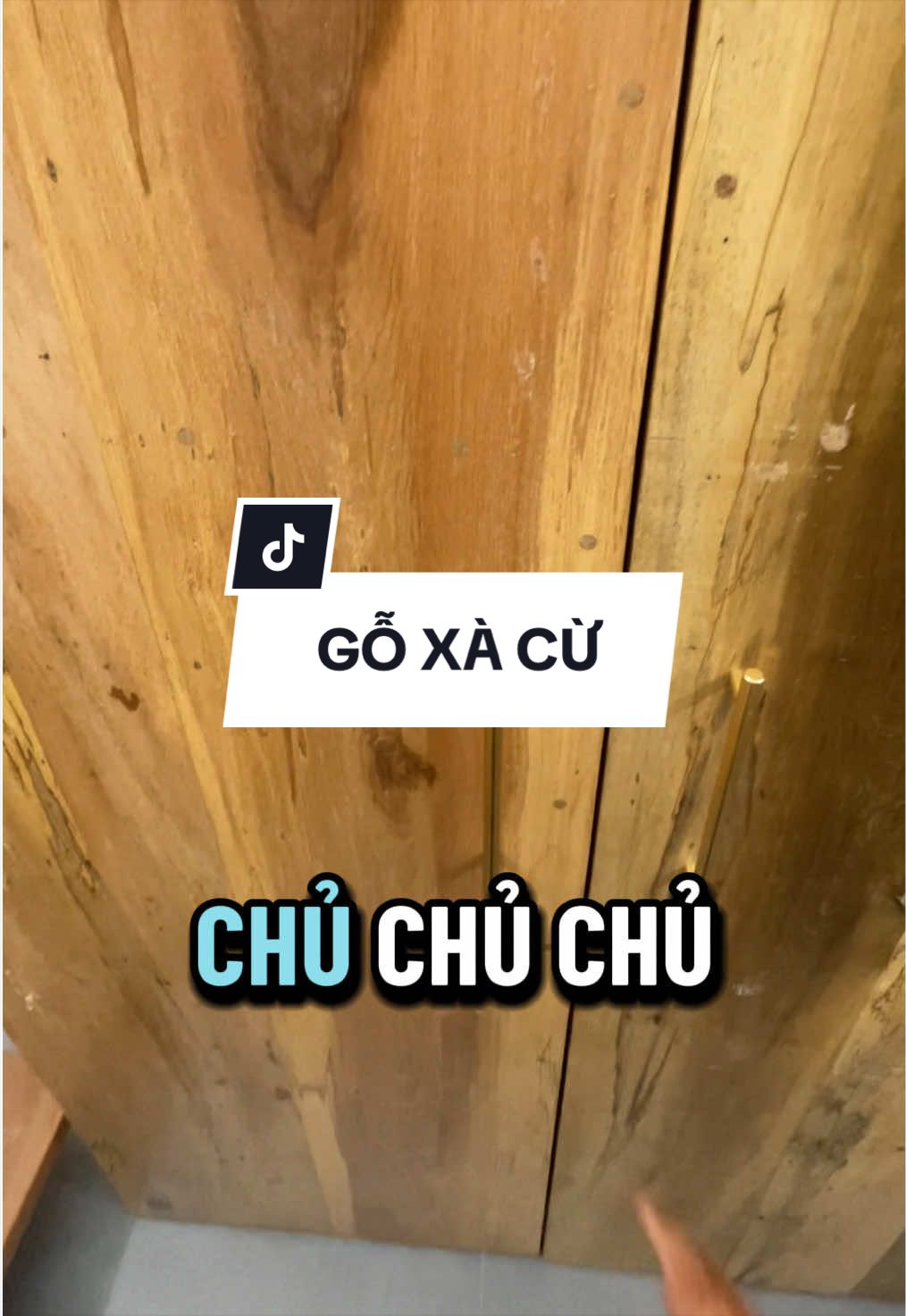 Gỗ xà cừ nè, thuê đi mình về nhà là nó mừng đầu tiên đó #tienditimphong #phongtrohifriendz #canhotanbinh #reviewphongtro #canhodichvu 