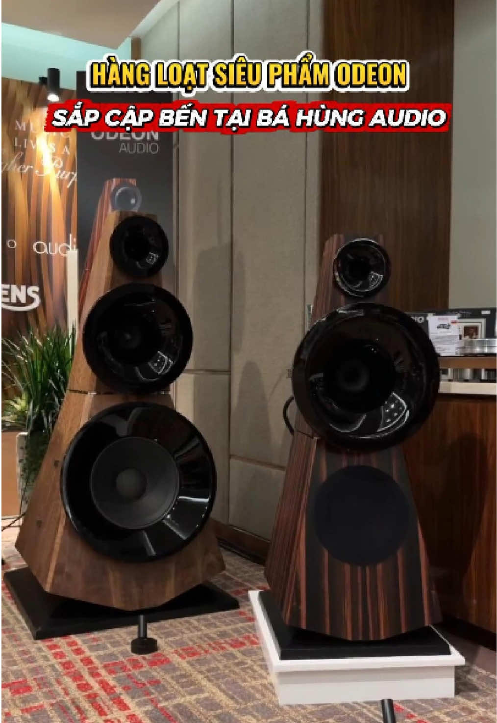 Hàng loạt siêu phẩm Odeon sắp cập bến tại Bá Hùng Audio - Anh em đã chuẩn bị sẵn sàng chưa? #bahungaudio #music #odeon #viral #hiend 