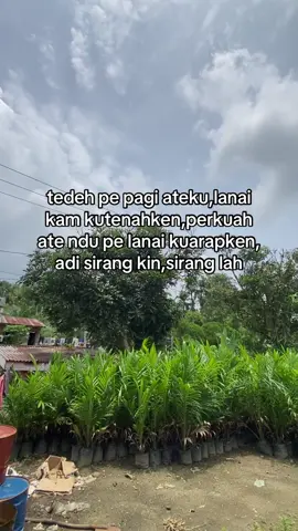 #zonakalakkaro #fypシ゚viral #4upage #katakatakaro 
