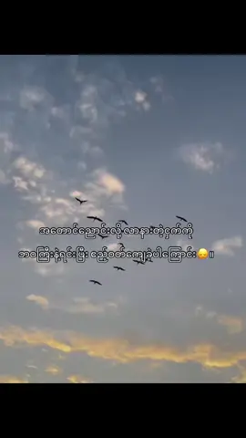ဧည့်ဝတ်ကျေခဲ့ပါကြောင်း။ #fyp #fyp #fyp 