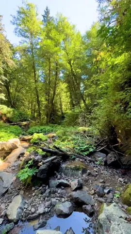 #waterfalls #oregon #Outdoors #pnw #Hiking 