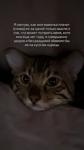 подпишись, пожалуйста 🙏🏼 