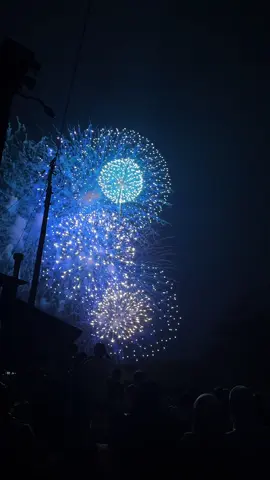 Mitsukaido Hanabi Fireworks 2026🎆 #ibaraki #花火 #japanvibes #jawapride #kenshuseijapan🇮🇩🇯🇵🎌 