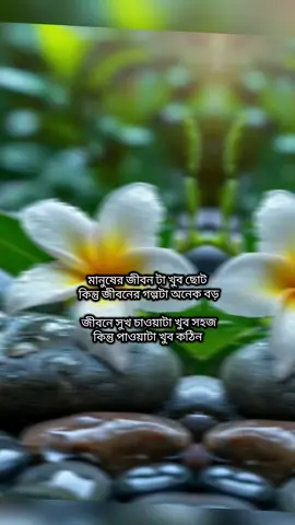 🙂হুম
