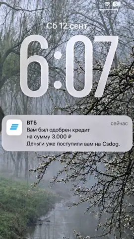 #csdog #кс2 #кс 