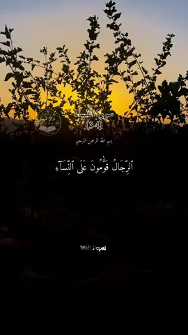 قرآکریم پښتوژباړه، سورة النساءآیت نمبر 34  #pashtoquran #qurantranslation #fyp #veralvideo #quranrecitations 