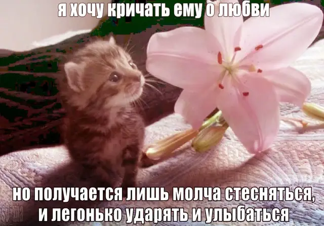 Любовь — это не просто красивые слова, не постоянные признания и не идеальная история, в которой никогда не бывает трудностей. Любовь — это чувство, которое постепенно становится частью твоей жизни. Это когда среди миллионов людей ты почему-то особенно замечаешь одного человека. Его голос, взгляд, улыбку, привычки, даже самые странные мелочи вдруг становятся для тебя родными. Любовь — это когда тебе хочется знать, как прошёл его день, что его расстроило, что заставило улыбнуться. Когда ты запоминаешь то, что он когда-то сказал между делом, потому что для тебя важно всё, что связано с ним. Ты начинаешь замечать его настроение по одному взгляду или по короткому сообщению. И иногда даже без слов понимаешь, что человеку сейчас нужно просто побыть рядом. Любовь — это не только бабочки в животе и счастье от каждой встречи. Это ещё и желание оставаться рядом тогда, когда всё не так просто. Когда человек устал, расстроен, молчит или переживает. Не пытаться сразу исправить его настроение, а просто дать понять: «Я рядом. Тебе не обязательно справляться со всем одному». Любовь — это безопасность. То самое чувство, когда рядом с человеком можно быть собой и не бояться, что тебя осудят за странность, слабость или плохое настроение. Можно смеяться до слёз, говорить о полной ерунде, молчать несколько минут и всё равно чувствовать себя комфортно. Можно не подбирать каждое слово и не пытаться казаться лучше, чем ты есть. Любовь — это когда тебе нравится не только красивая сторона человека. Ты принимаешь его характер, привычки, особенности, маленькие недостатки. Не потому, что считаешь его идеальным, а потому, что видишь в нём настоящего человека — со своими страхами, сомнениями, мечтами и переживаниями. Любовь — это желание делить жизнь. Не обязательно что-то грандиозное. Иногда любовь — это обычный вечер вместе, прогулка без определённого маршрута, разговоры обо всём на свете, совместные глупости, смех из-за какой-нибудь мелочи. Это когда даже самое обычное занятие становится особенным только потому, что вы делаете его вместе. Любовь — это когда тебе важно не только то, что чувствуешь ты, но и то, что чувствует другой человек. Ты хочешь видеть его счастливым не потому, что от этого получишь что-то взамен, а потому что его счастье становится важным и для тебя. И, наверное, самое красивое в любви — это ощущение «мы». Не потеря себя и не зависимость друг от друга, а чувство, что рядом появился человек, с которым хочется создавать что-то настоящее. Поддерживать друг друга, расти вместе, проходить через сложные моменты и радоваться хорошим. Любовь — это когда после долгого дня хочется услышать именно его голос. Когда случайная песня напоминает о нём. Когда видишь что-то красивое и первой мыслью становится: «Надо ему это показать». Когда хочется рассказывать о своих маленьких победах и переживаниях именно этому человеку. Любовь — это не обещание, что никогда не будет больно или сложно. Это желание разговаривать, понимать, слышать и не разрушать друг друга в моменты ссор. Это уважение к чувствам, границам и свободе другого человека. Любовь — это когда человек постепенно становится не просто тем, кто тебе нравится. Он становится тем, о ком хочется заботиться, кому хочется доверять и рядом с кем хочется оставаться настоящей. И, может быть, любовь невозможно объяснить одним определением. Потому что для каждого она своя. Для кого-то — это объятия, для кого-то — забота, для кого-то — долгие разговоры ночью. А для кого-то любовь — это просто знать, что где-то есть человек, рядом с которым становится спокойно. Любовь — это когда из миллионов людей сердце почему-то выбирает одного. И рядом с ним обычные моменты вдруг становятся теми, которые хочется запомнить навсегда. #щп #us #Love #shitpost #щитпост 