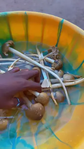 #tiktokcentrafrique🇨🇫 #Bangui #tiktoknews #cuisine 