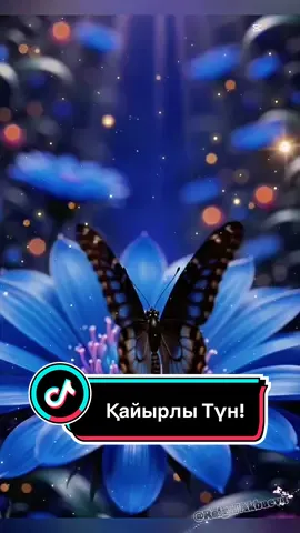 #creatorsearchinsights #қайырлытүн#CapCut #tiktok #creatorvideo 