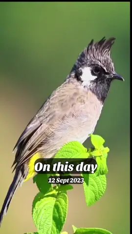 #onthisday