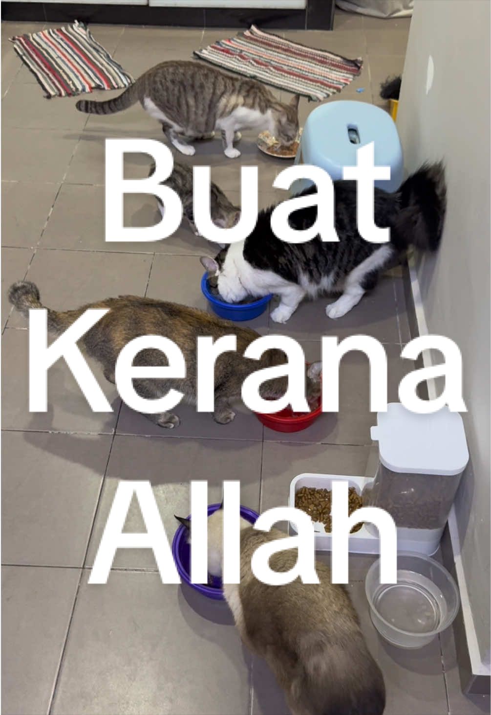 “Kerjasama” dan “ikhlas” tu penting supaya setiap hari hati rasa aman dan tenang, tak rasa terpaksa atau dipaksa2 ❤️ #lecturerlife  #marriedlife  #husbandwife  #foryoupage  #fyp 