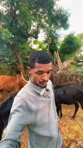 #oromotiktok 