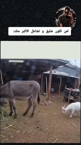 #CapCut #MemeCut #Meme #جخو،الشغل،دا،يا،عالم،➕_❤_📝✌️🌍🦋 #لايكات_الهاشتاج10000kسوي 