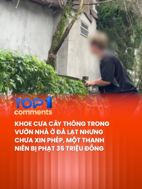 Theo lãnh đạo UBND phường Xuân Hương, Đà Lạt, đây là một trong những trường hợp mới được địa phương xử lý #topcomments  #dalat  #cuacay  #xinphep  #vipham